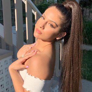 Insert Name Here Ponytail Extension - Miya Dk Brown